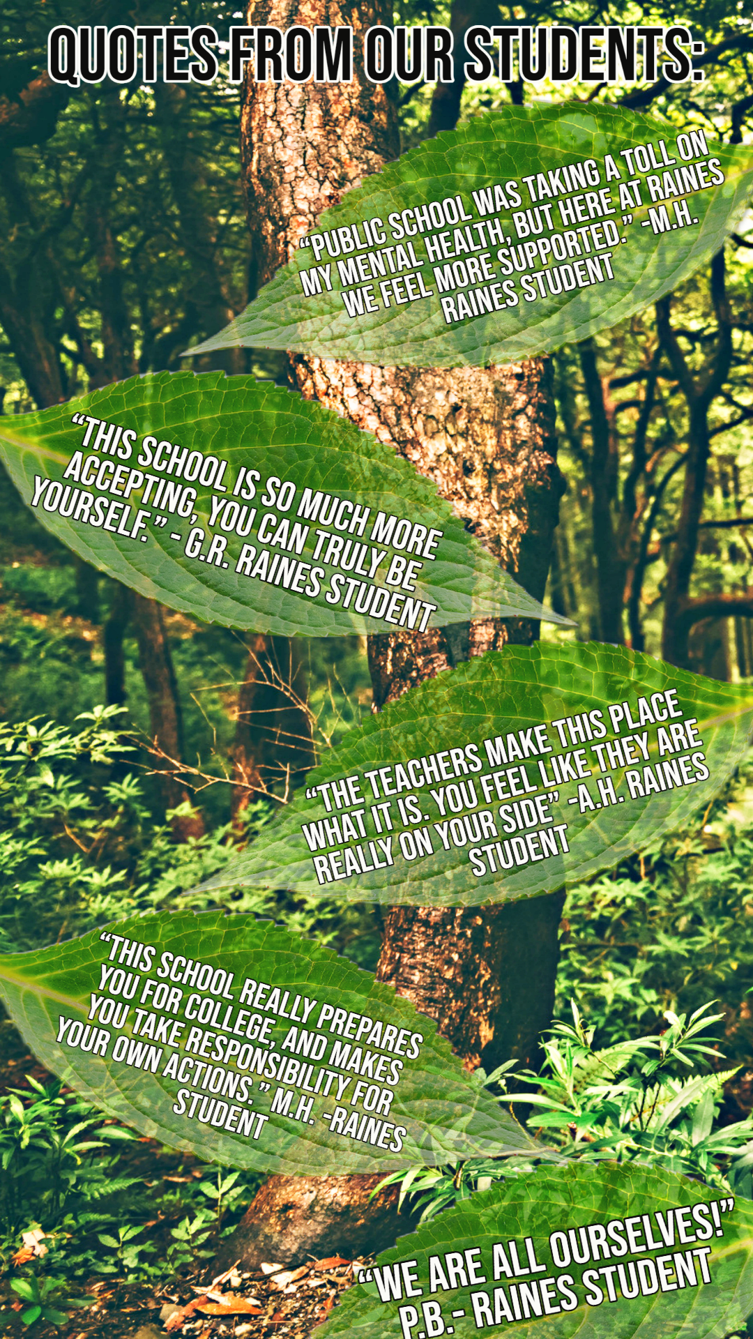 Quotes from Students Quotes from Students